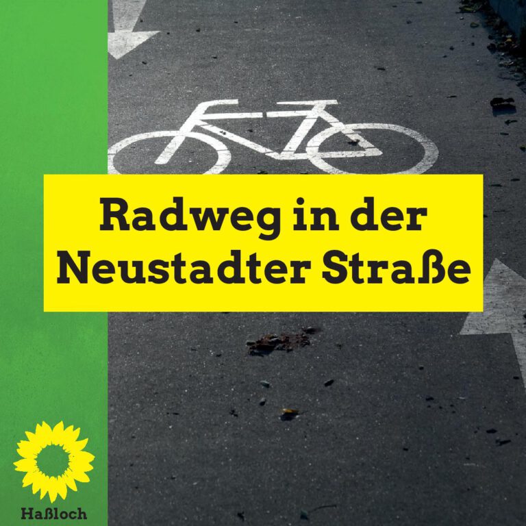 Antrag Fahrradstreifen in der Neustadter Straße